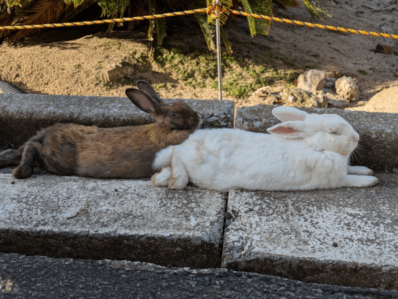 画像に alt 属性が指定されていません。ファイル名: image-245-800x601.png