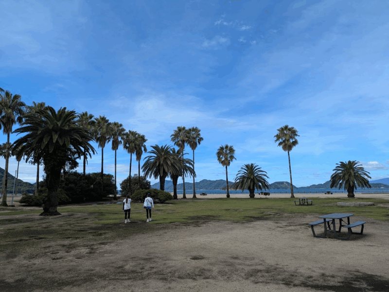 画像に alt 属性が指定されていません。ファイル名: image-246-800x601.png